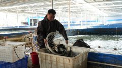 农业财产动能强劲 乘势冲刺四时度